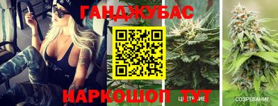 гидра Малгобек