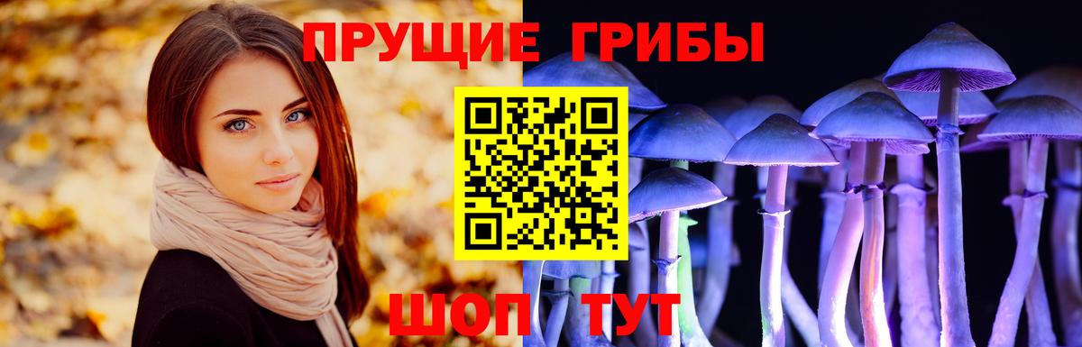 Галлюциногенные грибы мухоморы  цена   Ярославль  Вход с VPN 